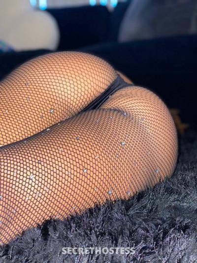 Amanda 26Yrs Old Escort Prince Albert Image - 5