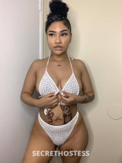 Amber 24Yrs Old Escort Chattanooga TN Image - 3