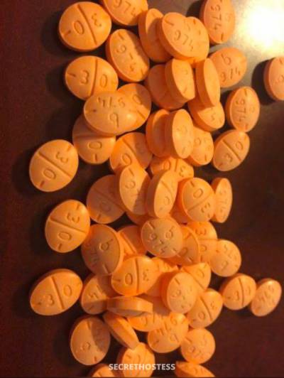 Emile 26Yrs Old Escort Cornwall Image - 1