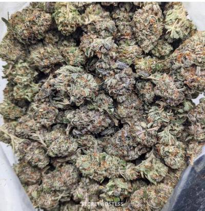 Emile 26Yrs Old Escort Quebec City Image - 5