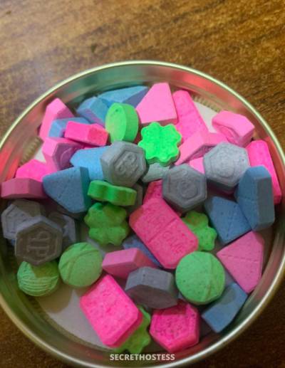 Emile 26Yrs Old Escort Trois-Rivières Image - 1