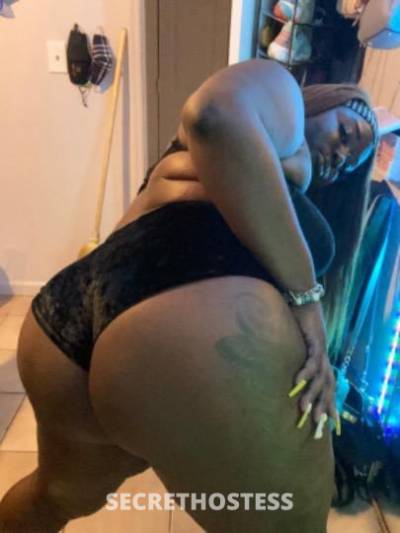 Mahogany 23Yrs Old Escort Orlando FL Image - 2