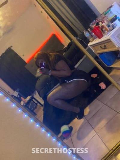 Mahogany 23Yrs Old Escort Orlando FL Image - 7