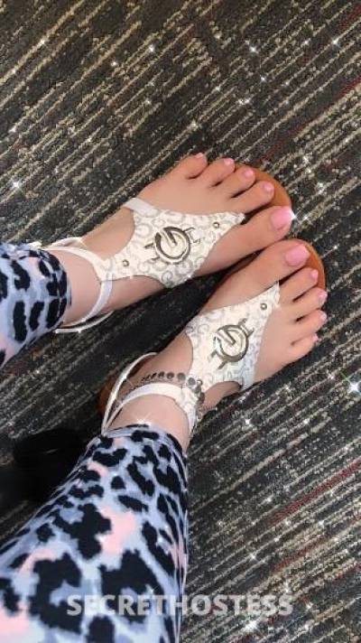 29Yrs Old Escort South Bend IN Image - 4