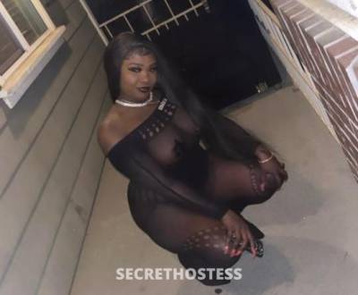 20Yrs Old Escort Beaumont TX Image - 1