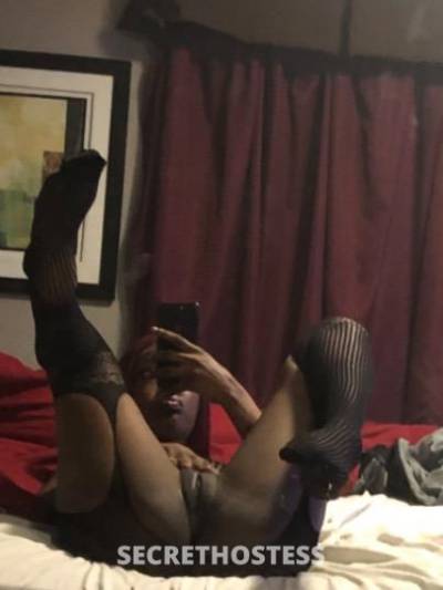 22Yrs Old Escort Dallas TX Image - 2