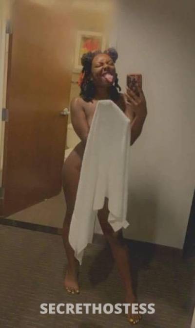 26Yrs Old Escort Corpus Christi TX Image - 2