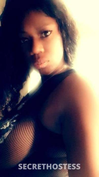 Fee 27Yrs Old Escort Duluth MN Image - 3