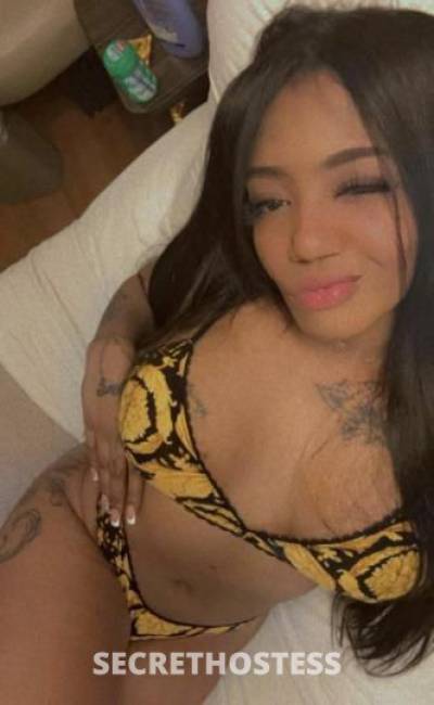 Hailey 27Yrs Old Escort Bronx NY Image - 2