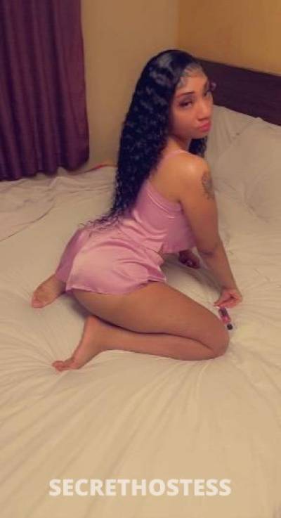 Kitty 25Yrs Old Escort Chicago IL Image - 5