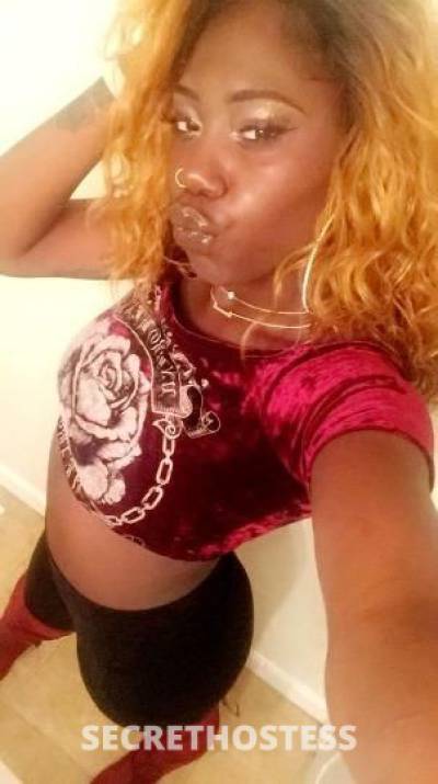 Lily 33Yrs Old Escort St. Cloud MN Image - 0