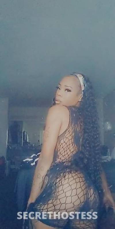 Alexis 24Yrs Old Escort Killeen TX Image - 3