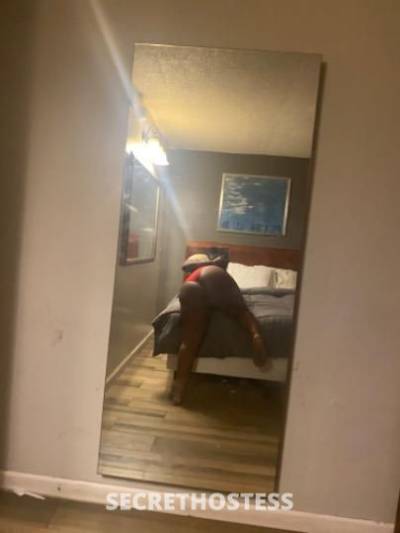 Lucylu 23Yrs Old Escort Houston TX Image - 2