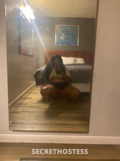 Lucylu 23Yrs Old Escort Houston TX Image - 3