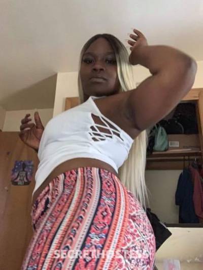 Tammy 25Yrs Old Escort Milwaukee WI Image - 4