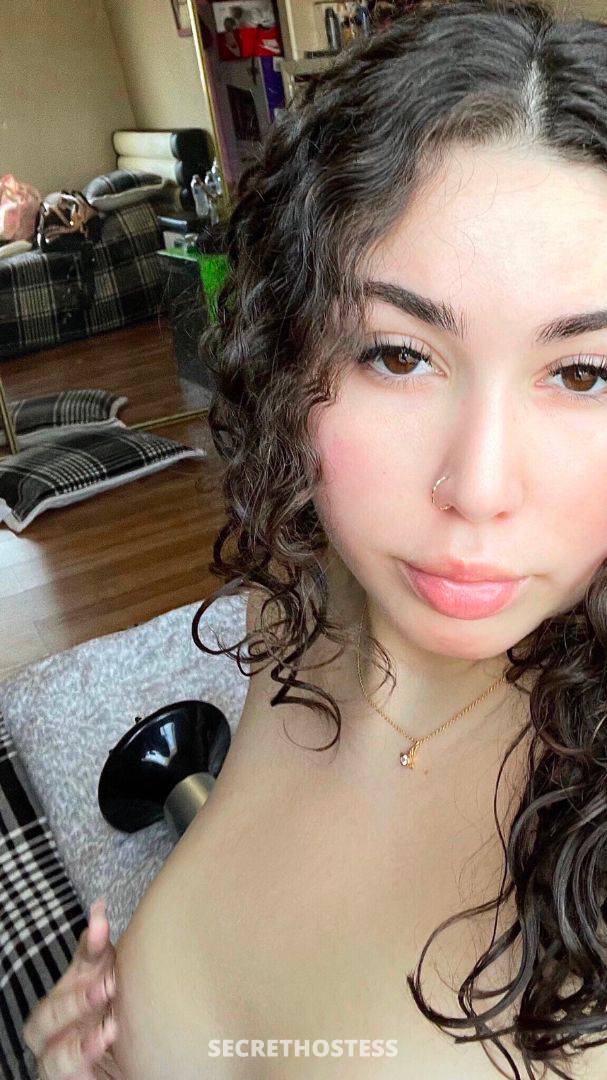 kalyn rae 24Yrs Old Escort Size 10 162CM Tall Santa Rosa CA Image - 1