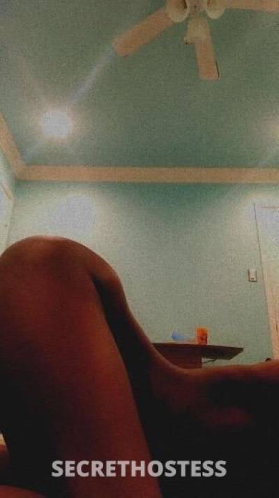 23Yrs Old Escort Houston TX Image - 6