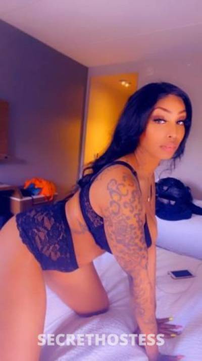29 year old Caribbean Escort in Raleigh-Durham NC Lou Lou Caribbean Mami AVAILABLE NOW