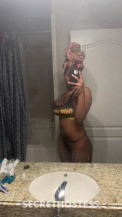 Bambi 23Yrs Old Escort Dallas TX Image - 3