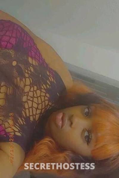 Coco 25Yrs Old Escort Houston TX Image - 3