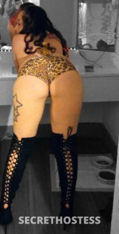 DIAMOND💎 32Yrs Old Escort Corpus Christi TX Image - 2