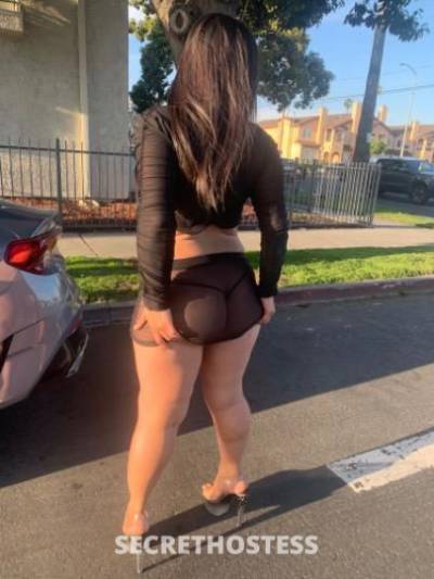 Dimples 25Yrs Old Escort El Paso TX Image - 8