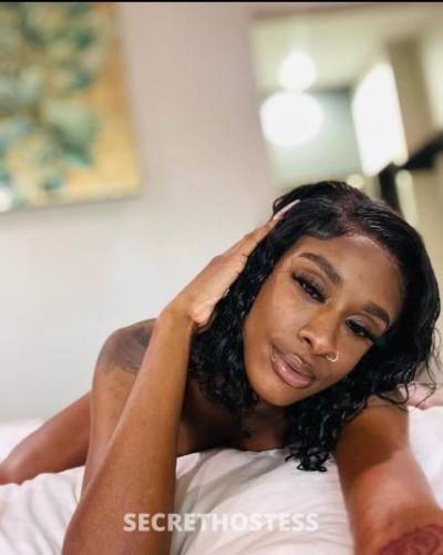 Stormy 21Yrs Old Escort Houston TX Image - 0