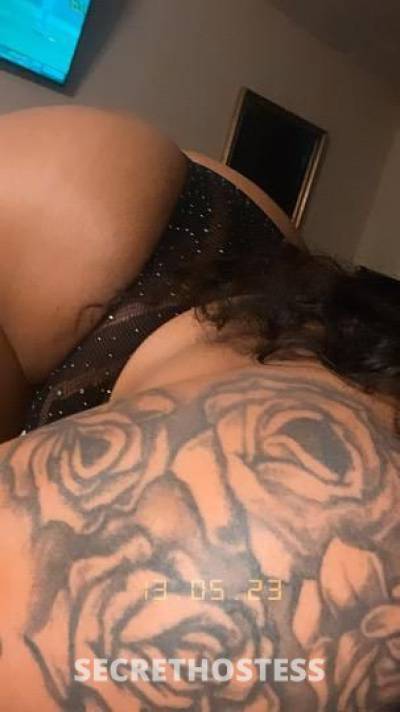 Yella 22Yrs Old Escort Houston TX Image - 4