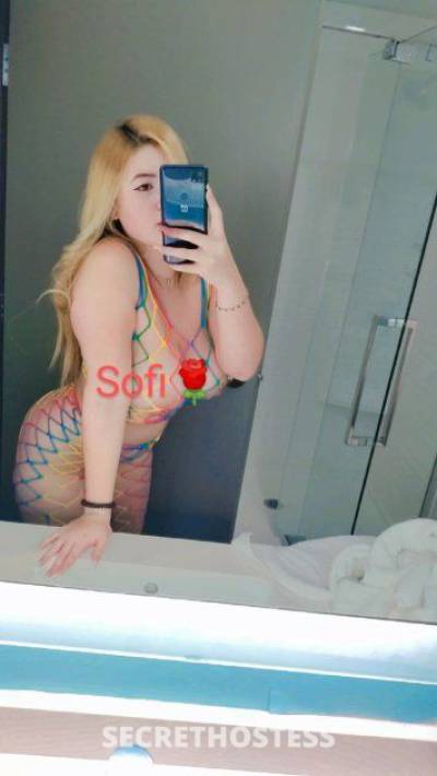 24Yrs Old Escort 167CM Tall Jacksonville FL Image - 2