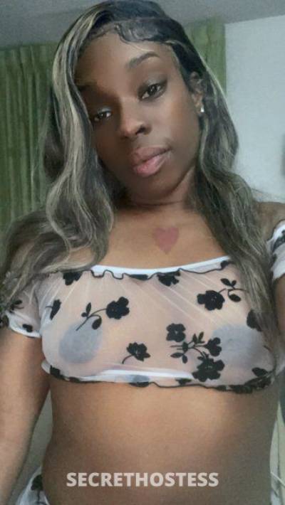 27Yrs Old Escort Baton Rouge LA Image - 4