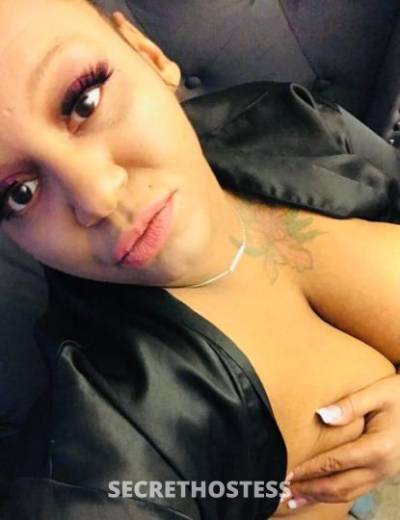 36 year old Hispanic Escort in South Jersey NJ Elite top tier dick sucker!?? text only 100% real