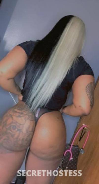 Moe 27Yrs Old Escort Manhattan NY Image - 4