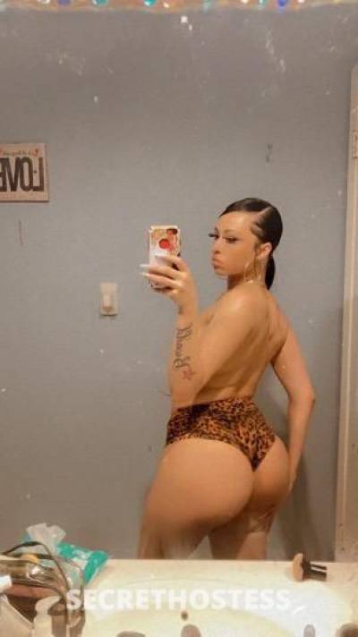 23Yrs Old Escort Tampa FL Image - 4