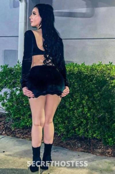 23 year old Latino Escort in West Palm Beach FL Nicol Latina Blanca