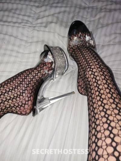 41Yrs Old Escort Tampa FL Image - 2