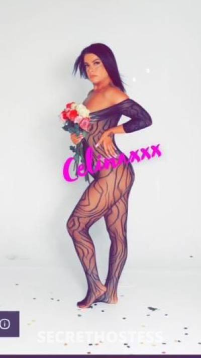 Celina 30Yrs Old Escort Spokane WA Image - 1