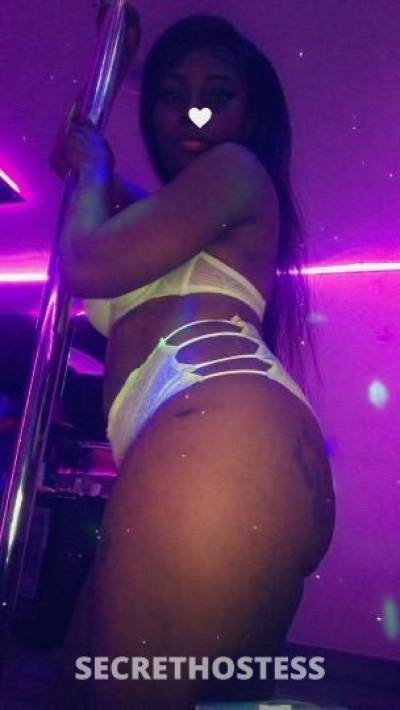 Chanel 27Yrs Old Escort Orlando FL Image - 1