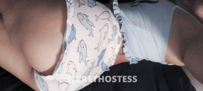 Marysol 23Yrs Old Escort McAllen TX Image - 1