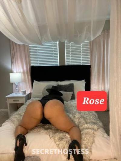 Rose 40Yrs Old Escort Houston TX Image - 3