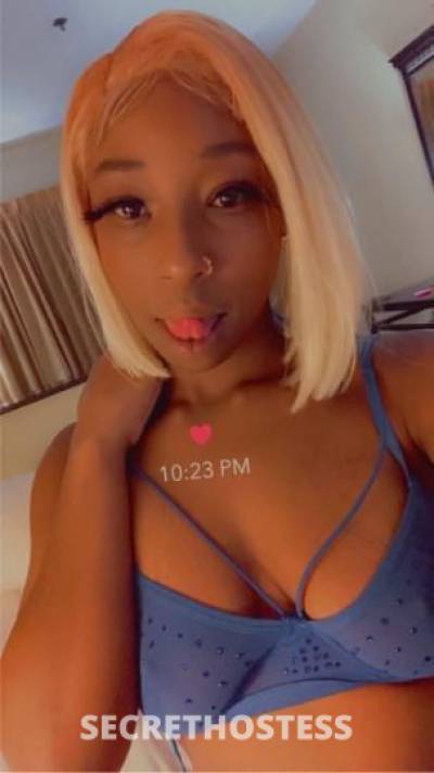 24Yrs Old Escort Washington DC Image - 1