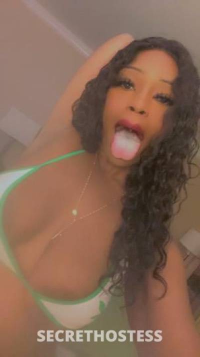 Kowa 22Yrs Old Escort San Fernando Valley CA Image - 2