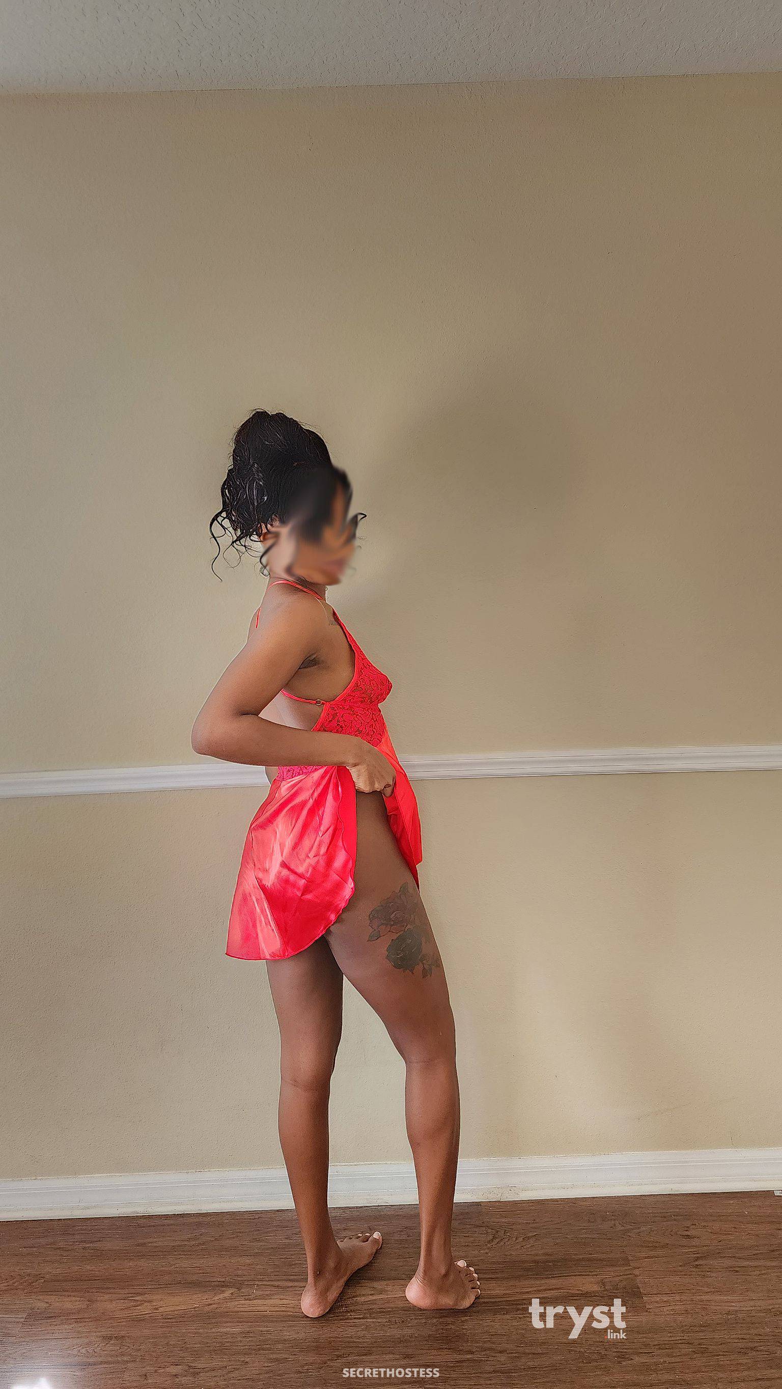 20Yrs Old Escort Size 8 167CM Tall Tampa FL Image - 0