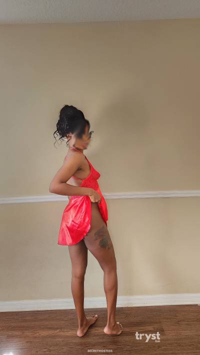 20Yrs Old Escort Size 8 167CM Tall Tampa FL Image - 0