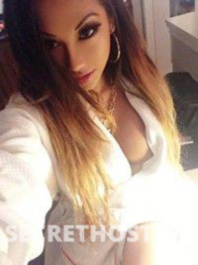 24Yrs Old Escort San Jose CA Image - 2