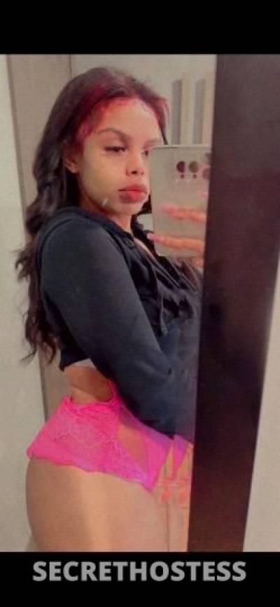 Bella 23Yrs Old Escort Concord CA Image - 7