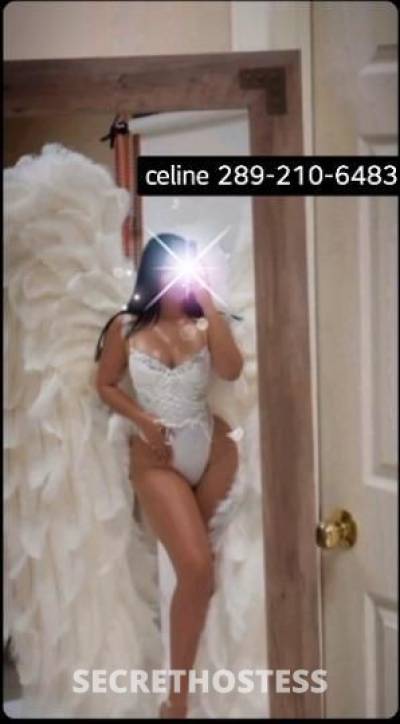 Celine 29Yrs Old Escort Hamilton Image - 1