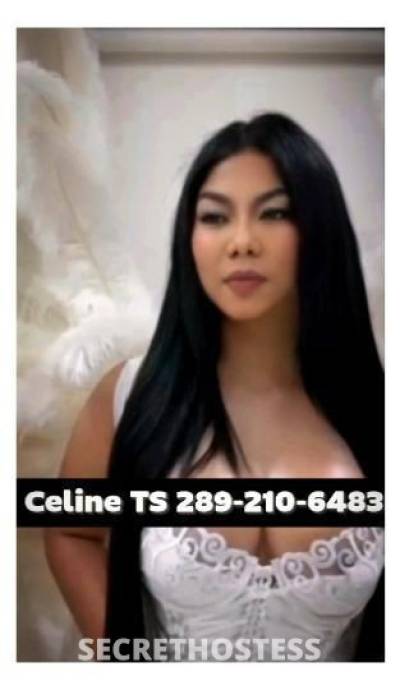 Celine 29Yrs Old Escort Hamilton Image - 5