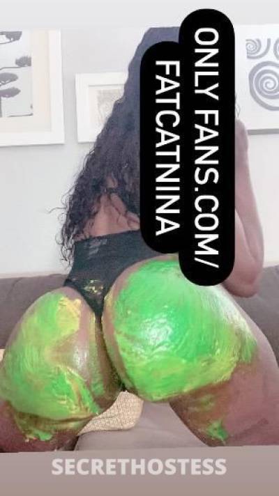 Fat_cat_nina_ 29Yrs Old Escort Macon GA Image - 4