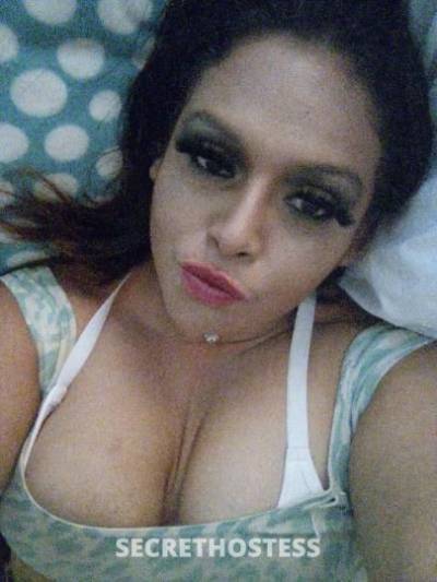 I am Liz Your Fiery Latina Fantasy - NO DEPOSIT Greek  in Phoenix AZ