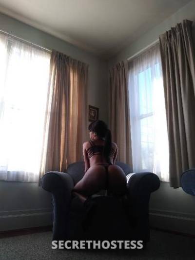 Nina 24Yrs Old Escort Concord CA Image - 2